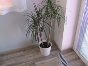 Stavební firma - rekonstrukce bydlení - Frýdek - Místek